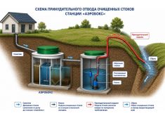 Аэробокс 4 Био